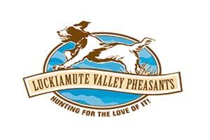 Luckiamute Valley Pheasants