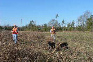 Roans Branch Hunting Preserve  Logo