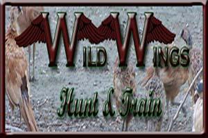 Wild Wings Hunt & Train Logo