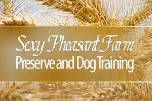 Sexy Pheasant Farm and Dog Training Preserve Logo