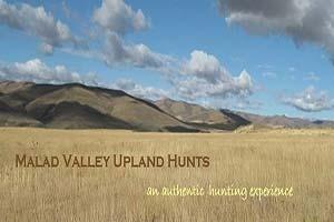 Malad Valley Upland Hunts