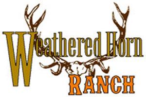 Weathered Horn Outfitters Logo