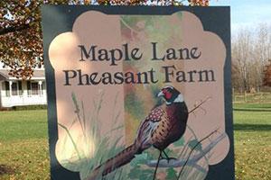 Maple Lane Hunting Preserve