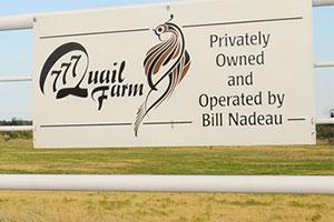 Triple 7 Quail Farm Logo