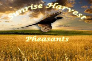 Sunrise Harvest Pheasants Logo