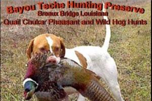 Bayou Teche Hunting Preserve