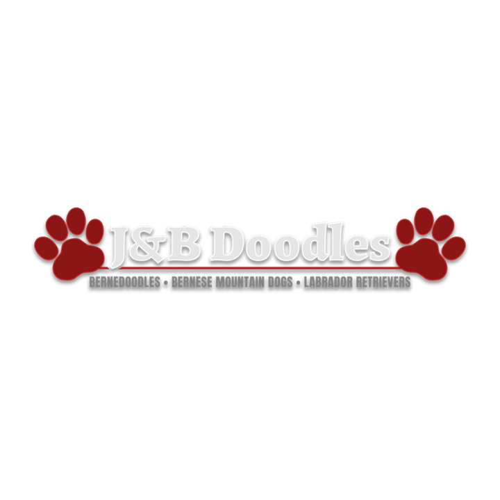 J&B Doodles Logo